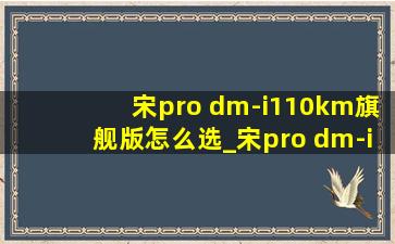 宋pro dm-i110km旗舰版怎么选_宋pro dm-i110km旗舰版pro